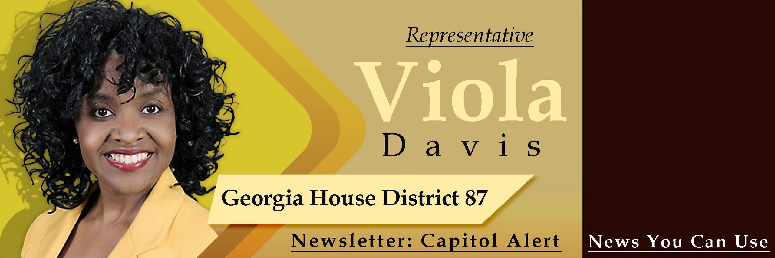 Rep Viola Davis Newsletter Capitol Alert Week 1 & 2